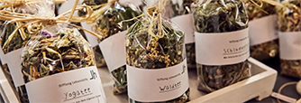 Stiftung Lebenshilfe