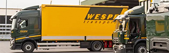 Wespe Transport