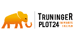 BIM-/CDE-Consultant (80-100%) (w/m/d) bei Truninger-Plot24 AG in Zürich