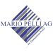 Immobilienbewirtschafter/in bei Mario Pelli AG Immobilien-Treuhand in Sins