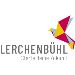 Verantwortliche:r Projektumsetzung und Entwicklung 60 - 100% bei Stiftung Lerchenbühl in Burgdorf