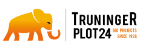 Bim-/CDE-Consultant bei Truninger-Plot24 AG in Zürich