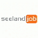 Projektleiter/in Flachdach 100% (W/M/D) / Fest bei SEELAND JOB AG in Bern