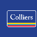 Immobilienvermarkter/in im Commercial-Bereich bei Colliers Switzerland AG in Zollikon