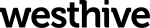 Process & Application Specialist (m/w/d) 80 - 100 % bei Westhive in Zürich
