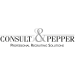 Junior Chief of Staff (a) (80-100%) bei Consult & Pepper AG in Winterthur
