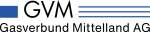 Asset Manager Netztransformation (m/f/d) 80%-100%, per sofort oder nach Verein-barung bei Gasverbund Mittelland AG in Arlesheim