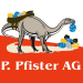 LKW Chauffeur bei Peter Pfister AG in Oeschgen