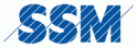 ERP System Administrator/in & Prozess Spezialist (m/w/d) 60%-100% bei SSM Schärer Schweiter Mettler AG in Winterthur